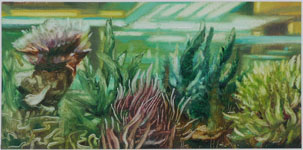 bild9
