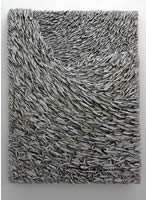 fischschwarm