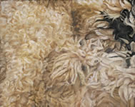 bild2