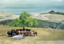 cow