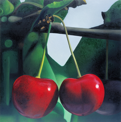 kirsche/ cherry