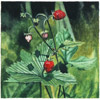 13_erdbeeren_32x32