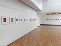 kollwitz museum karin kneffel
