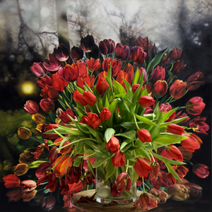 Tulpen rot Pigmentdruck
