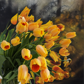 Tulpen gelb  Pigmentdruck