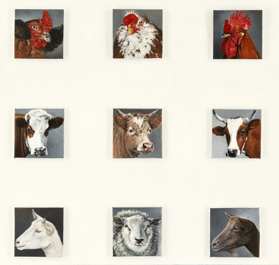 tierportraits