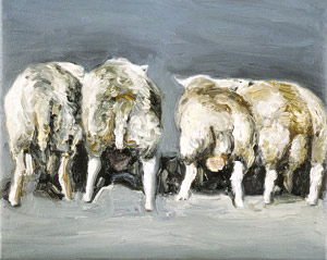 sheep